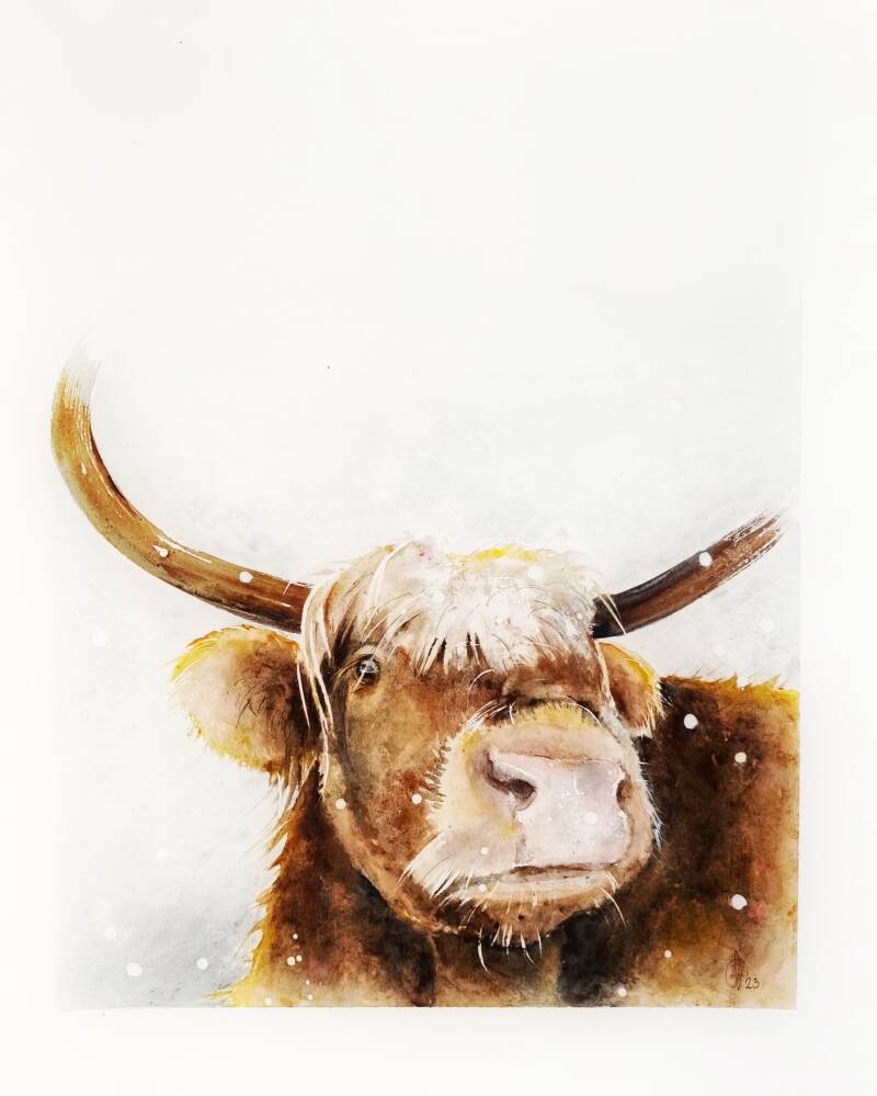 Scottish Highlander watercolor