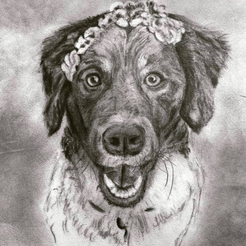 portret hond houtskool