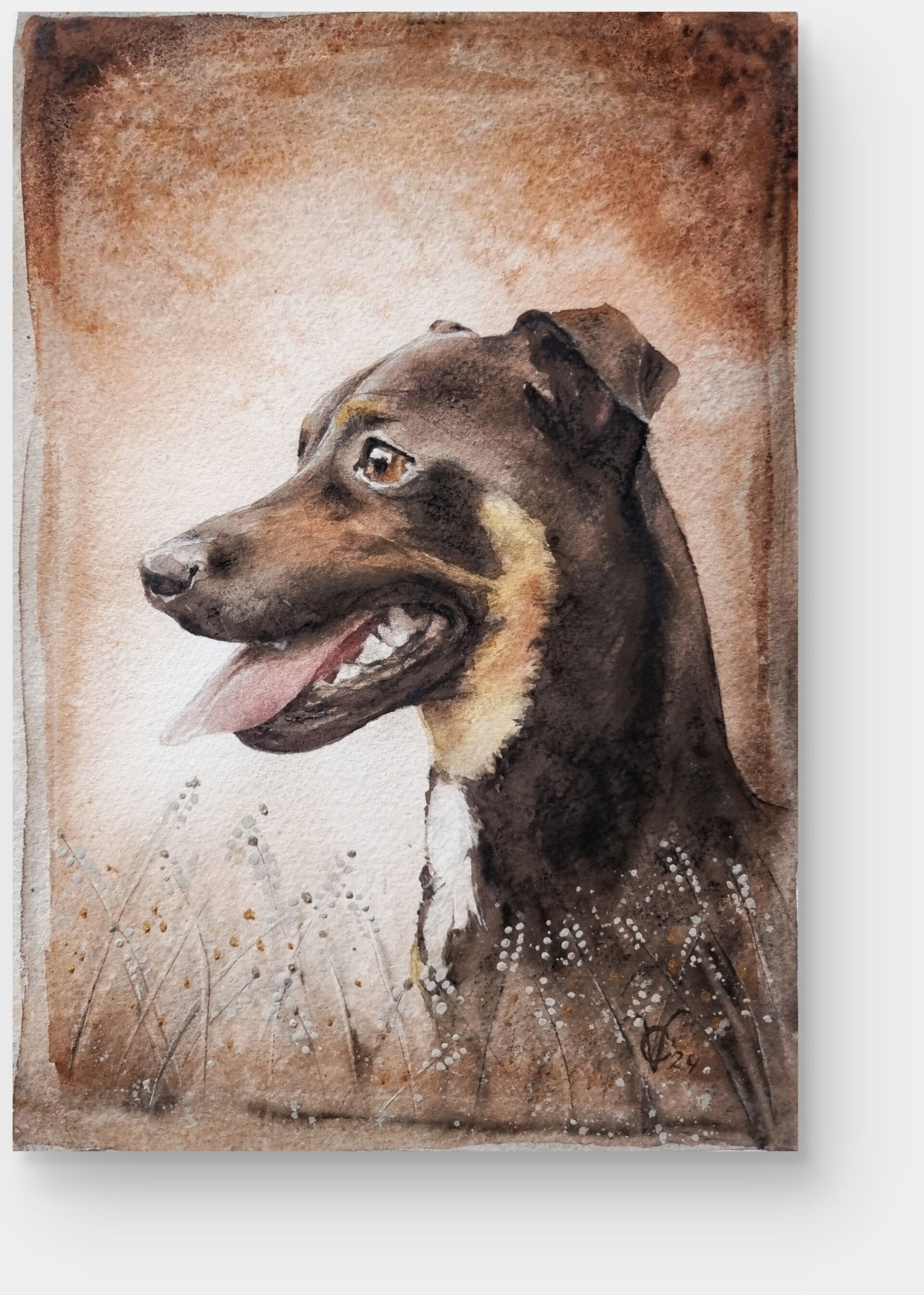 aquarel, dierportret, chantal verheijen 