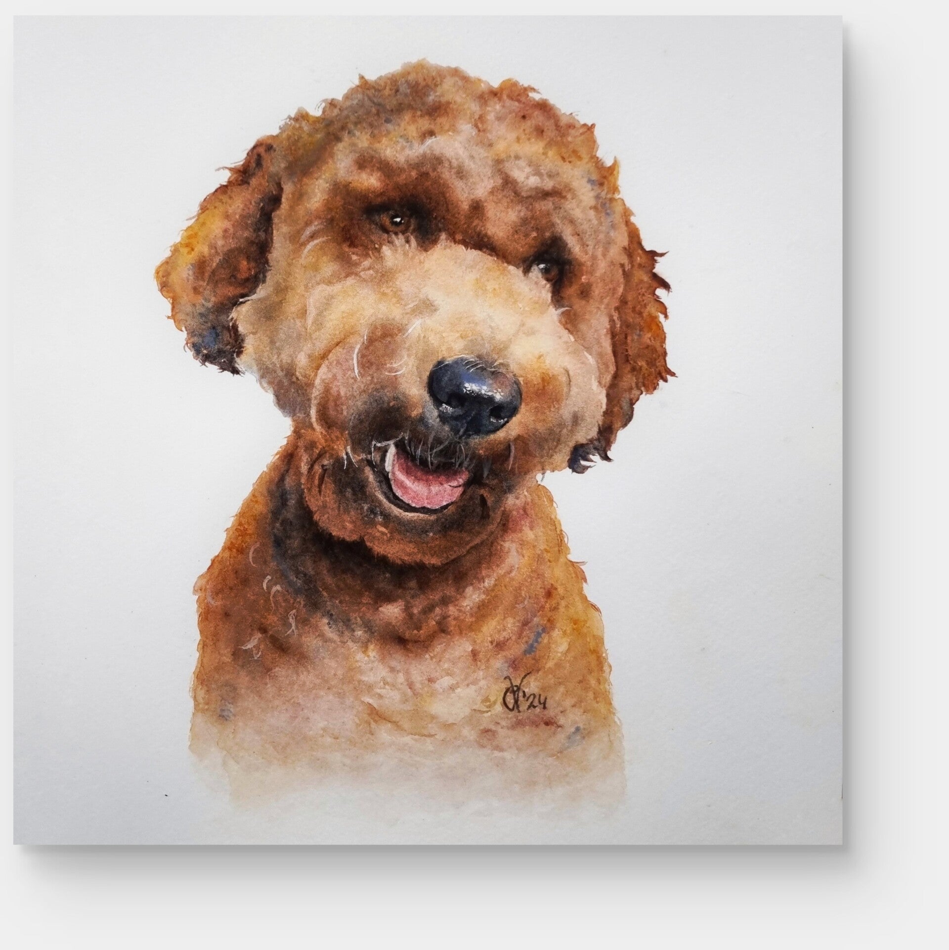 aquarel, dierportret, labradoodle