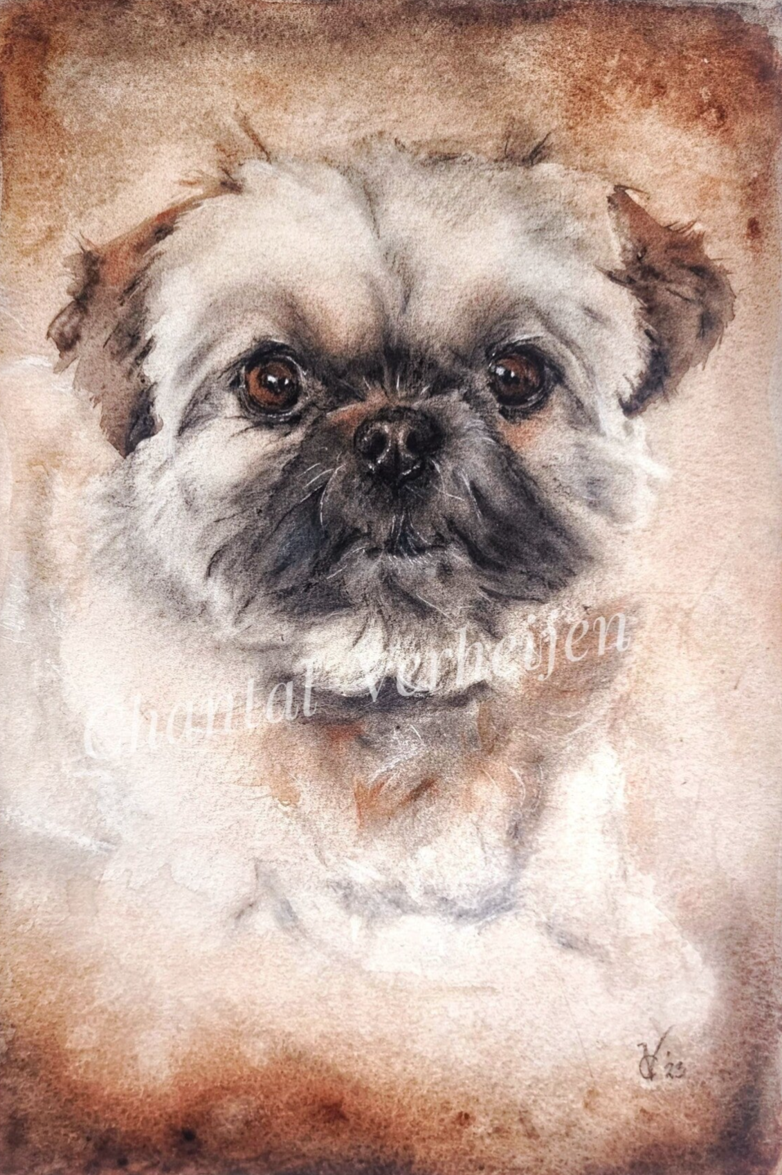 dierportret houtskool aquarel mixed media