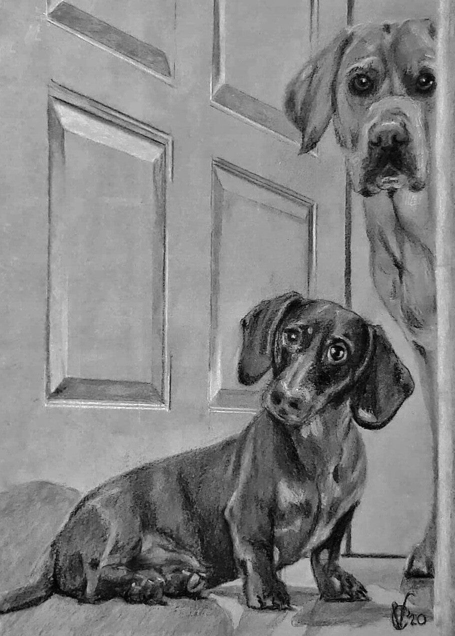 portret hond houtskool