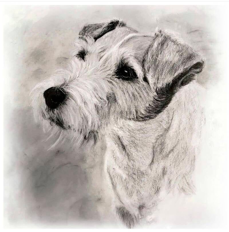 portret hond houtskool