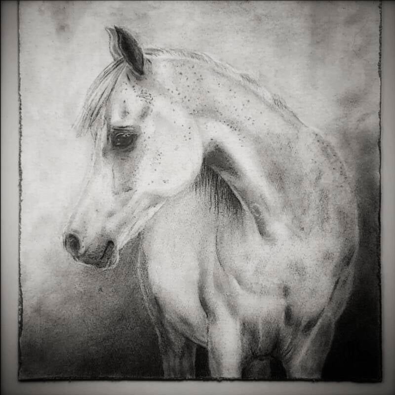 Dierportret houtskool