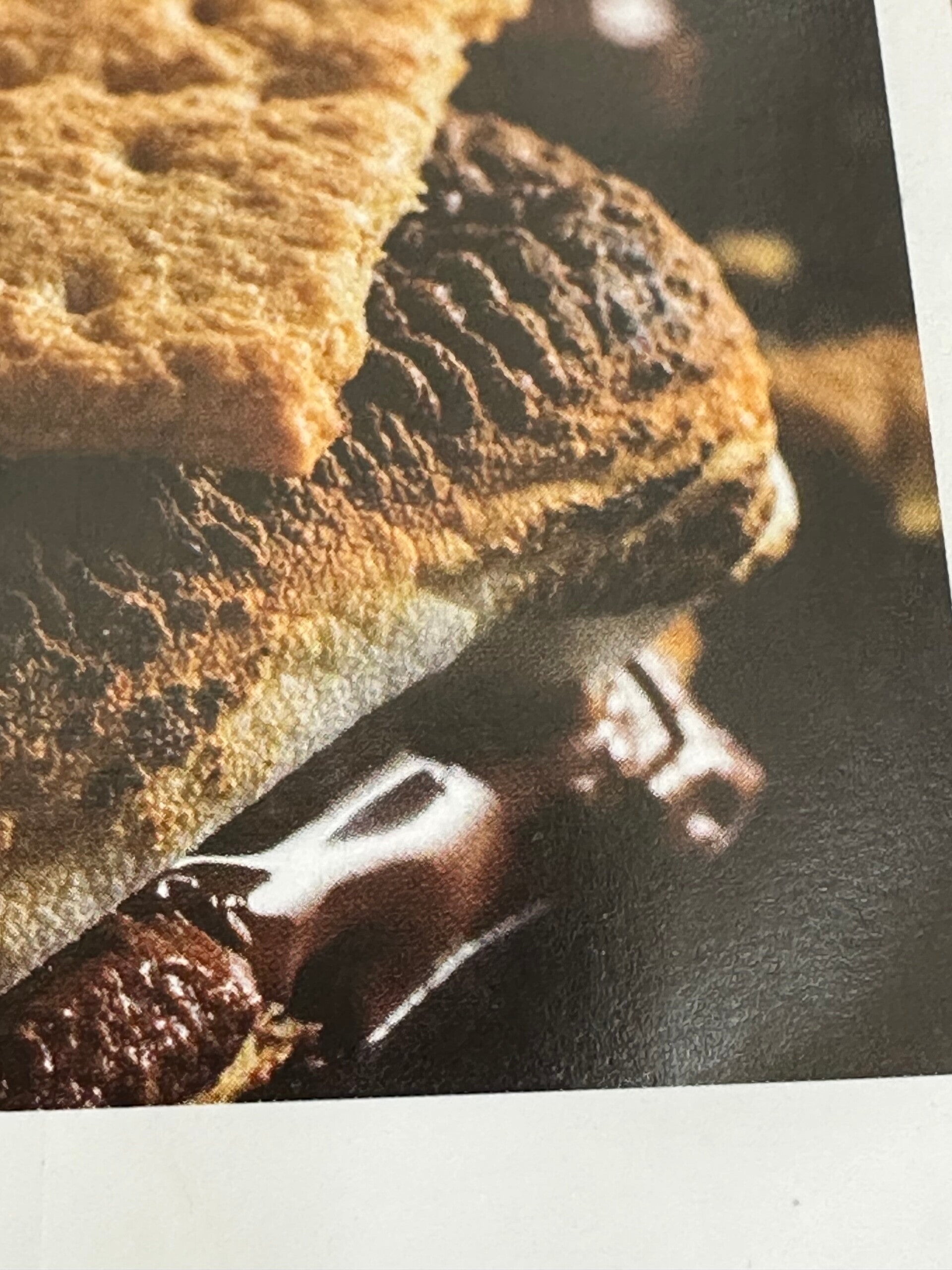 #halloween# funny yum yum