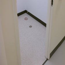 imag0610-standard.jpg
