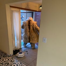 rabbit-fur-forthis-cient-standard.jpg