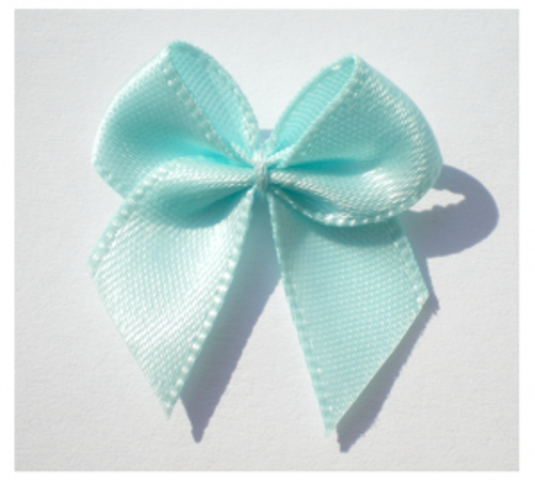 Kleefstrikje Mint (10 stuks)