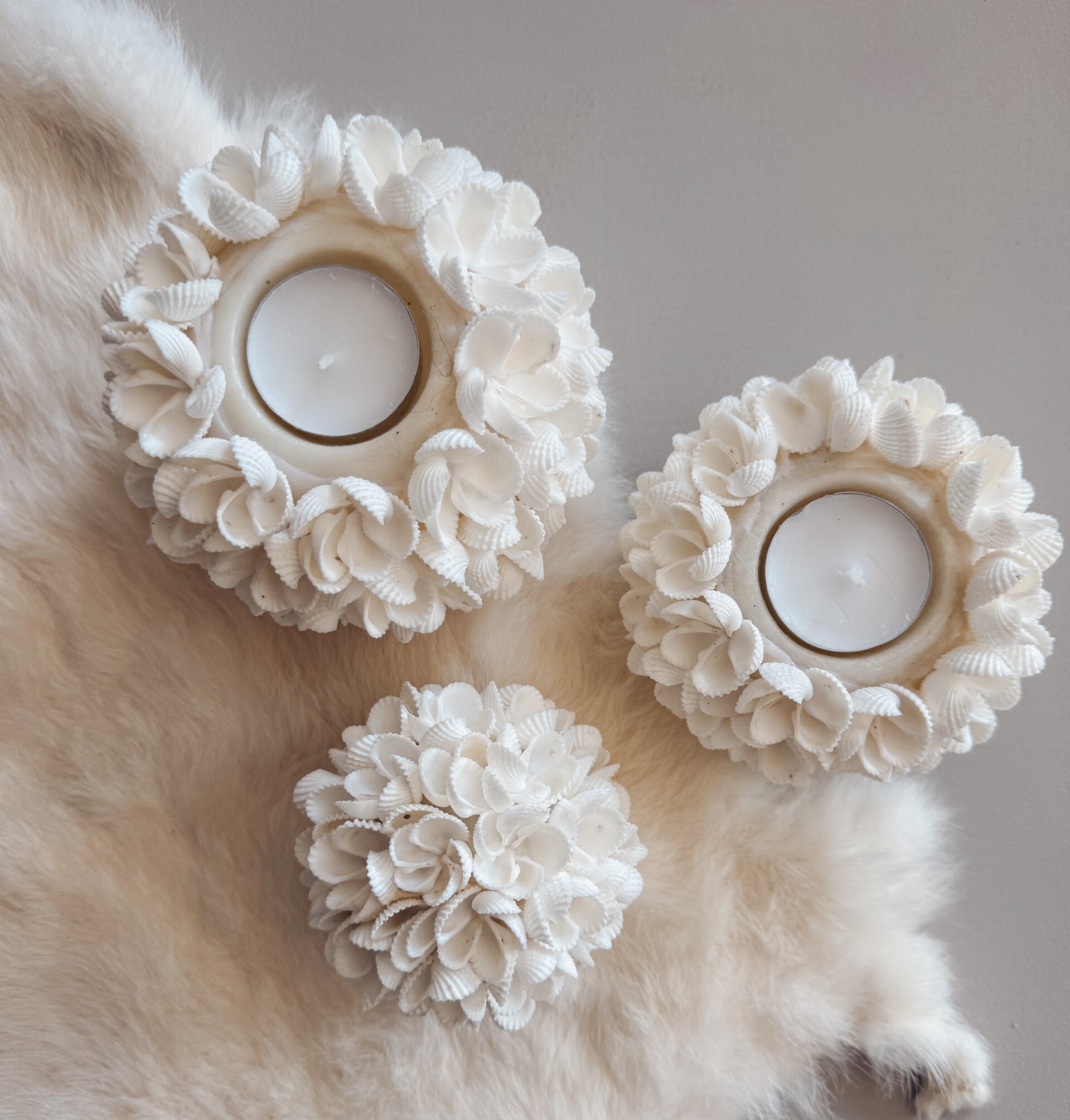 Waxinelichthouders schelp