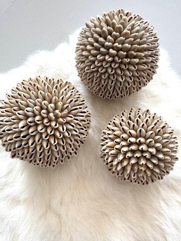 Schelpenbol