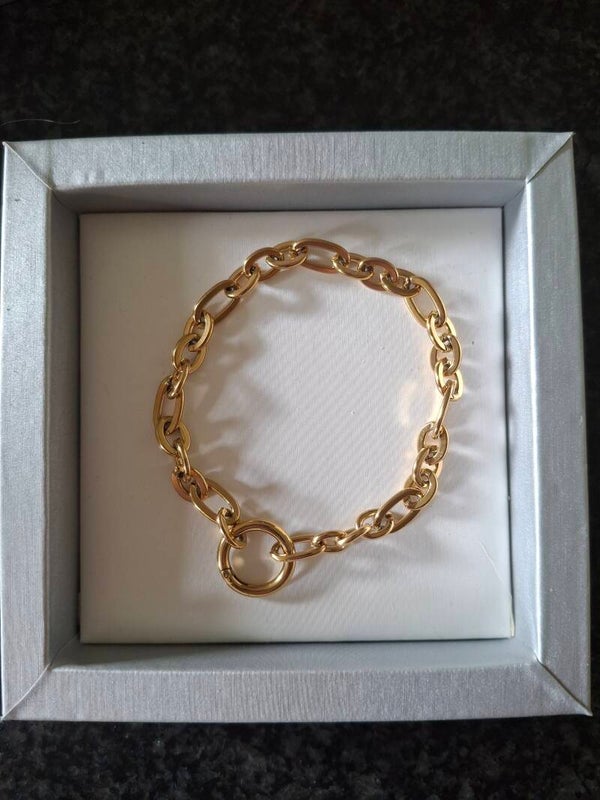 Stainless steel gold-plated met clipslotje
