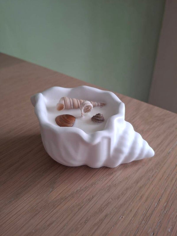 Kleine schelp van porceleingips met sojawaskaars en schelpen