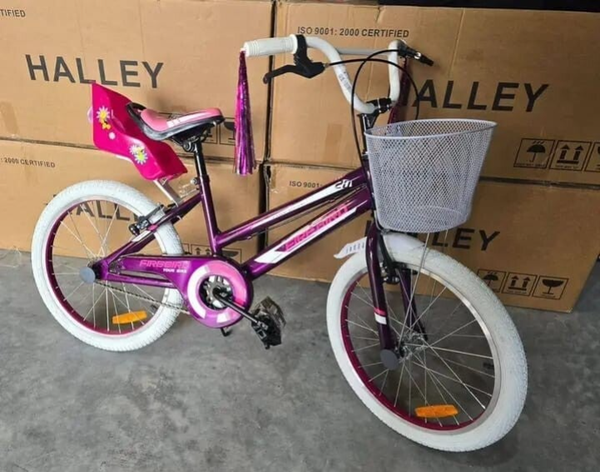 Bicicleta niño