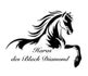 Haras des Black Diamonds