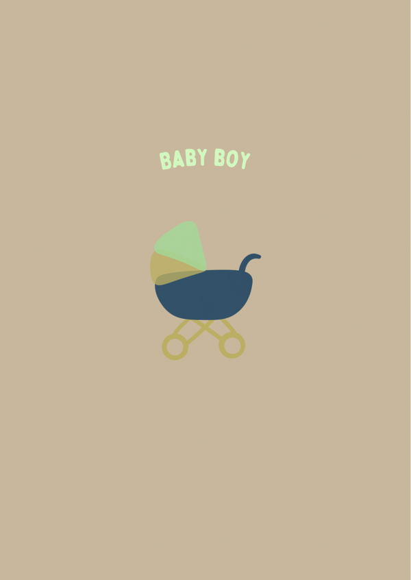 Baby Boy- kinderwagen