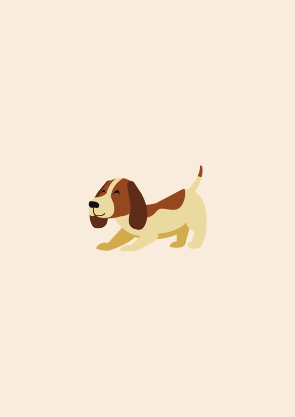 Hond- beige