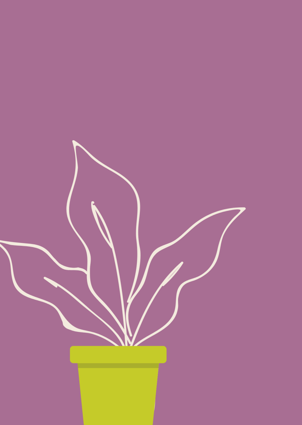 Plant- jubileum