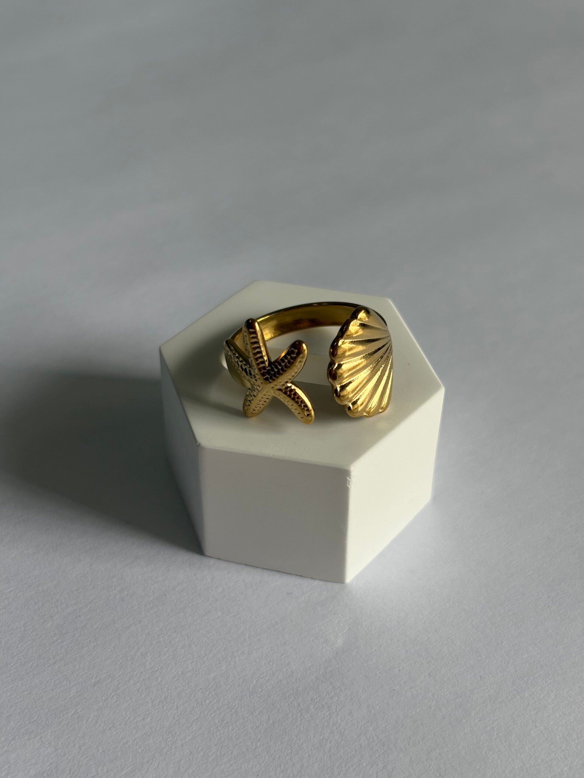 Anillo mar