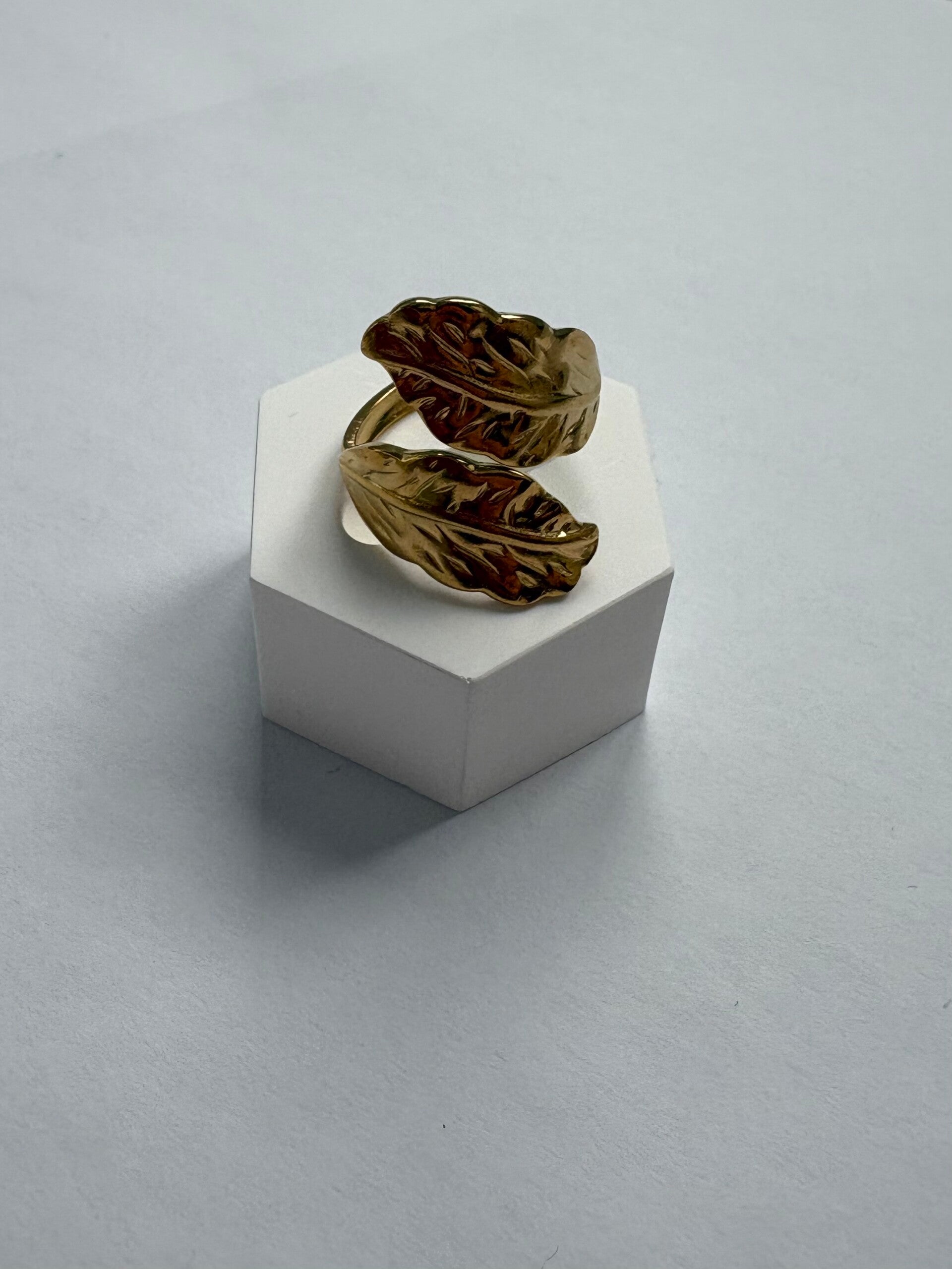 Anillo otoño
