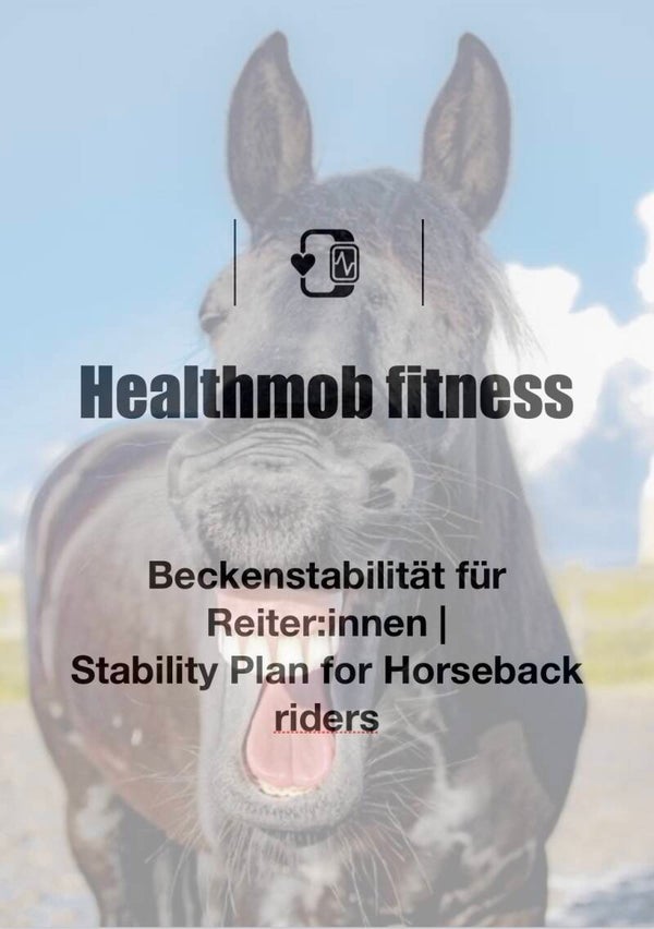 Stability Plan for Horseback Riders