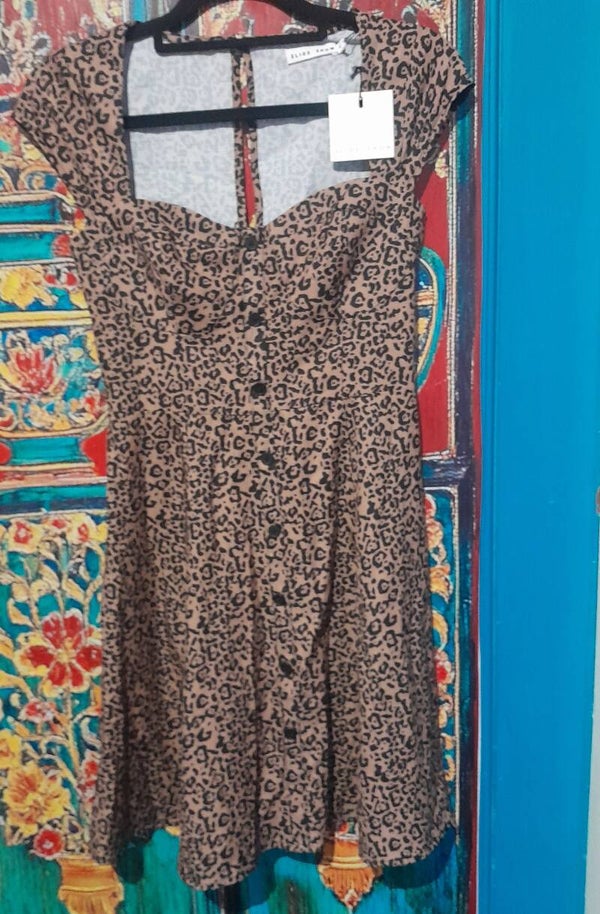 slideshow, size 6 dress, nwt