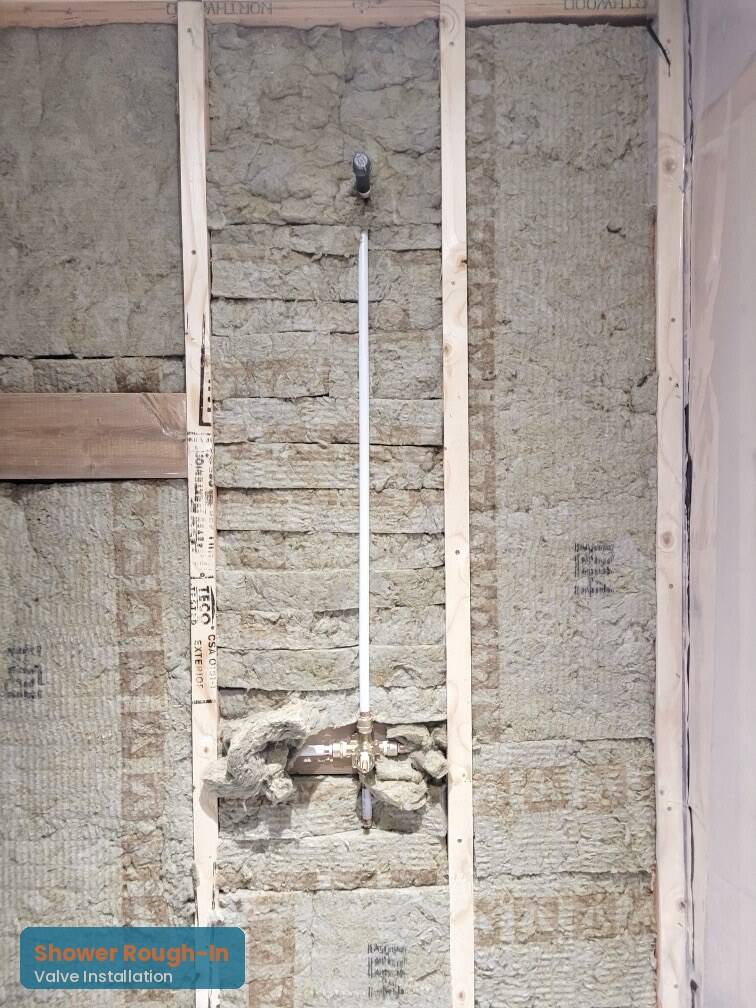 bath_roughin2-standard.jpg