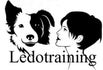 Ledotraining