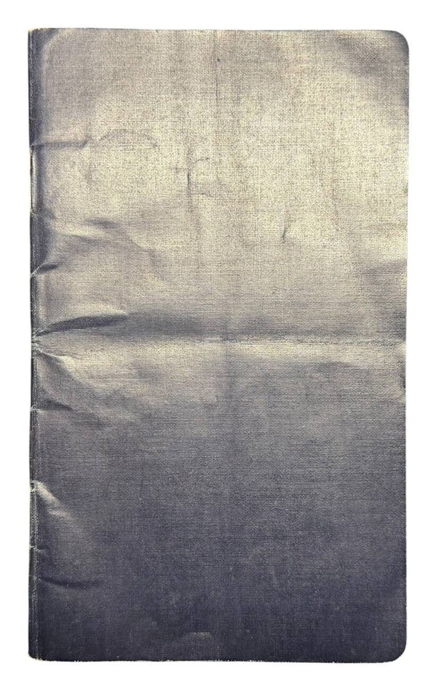 Dutch passport The Hague 12 November 1920