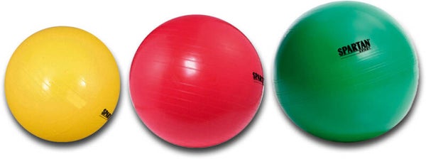 Gym Bälle (45 - 95 cm)