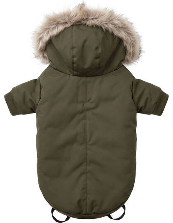 Honden Jacket
