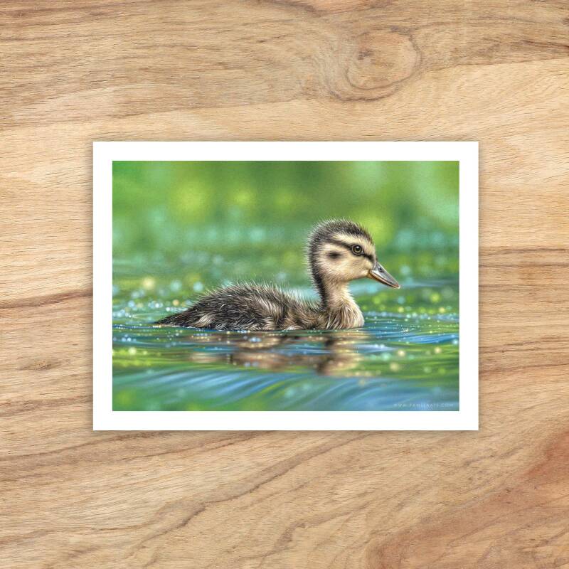 Healing Waters | Fine Art Print