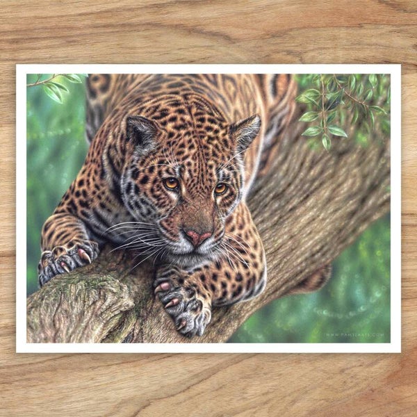 The Power Within | Fine Art Print (Kopie)