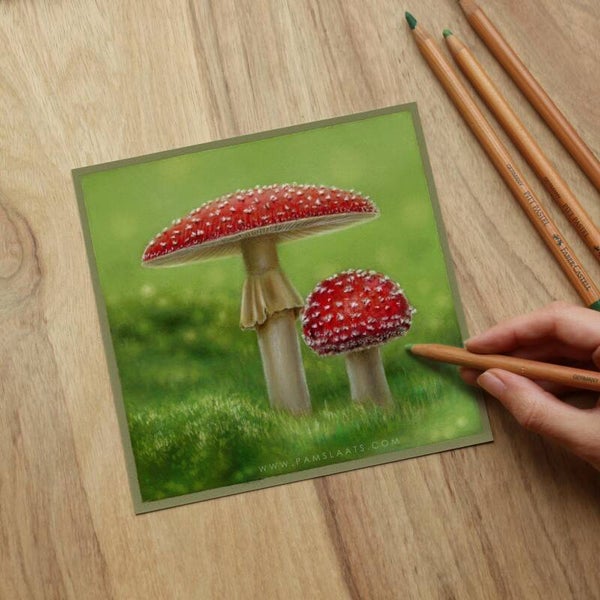 Workshop paddenstoelen tekenen - vrijdag 29 november 2024