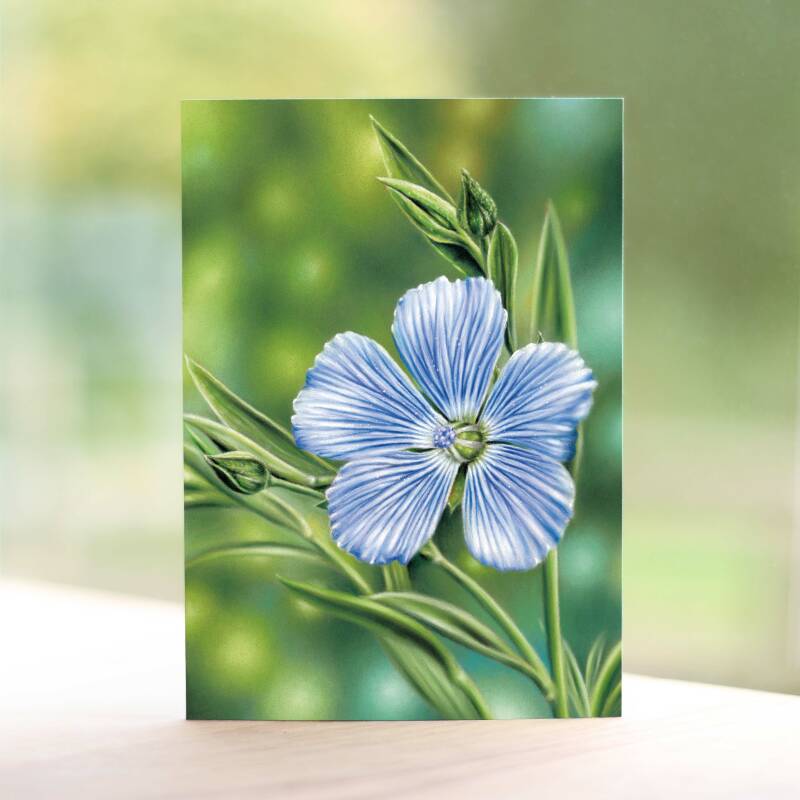 Linum Usitatissimum | Wenskaart