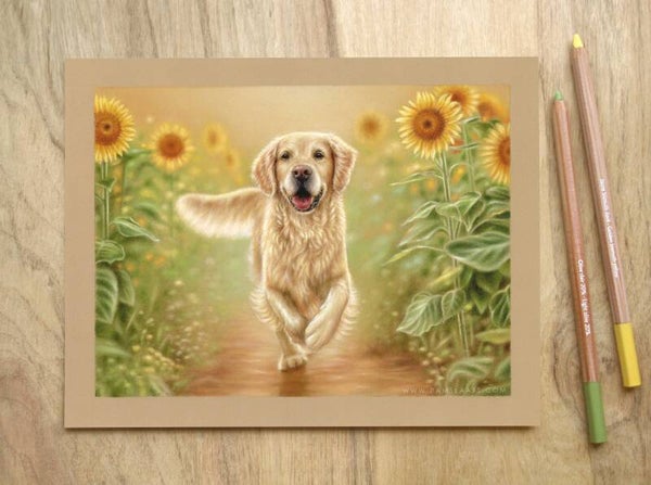 Cursus - Tekenen met Pastel