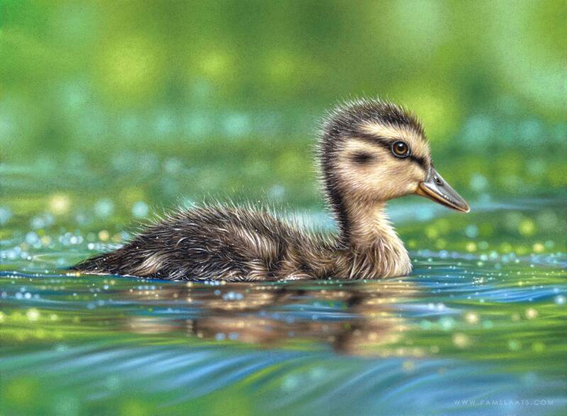 Healing Waters