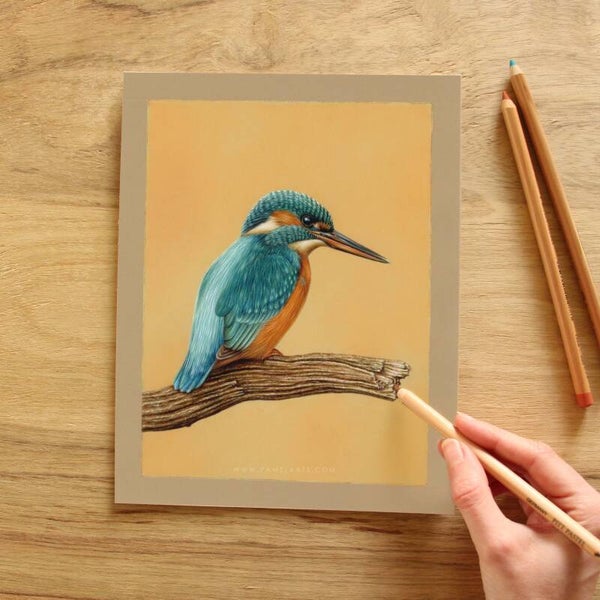 Workshop ijsvogel tekenen - zondag 10 maart 2024