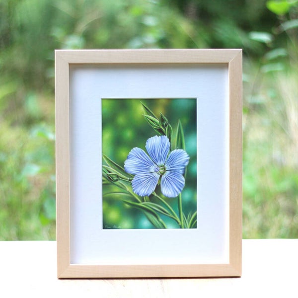 Linum Usitatissimum