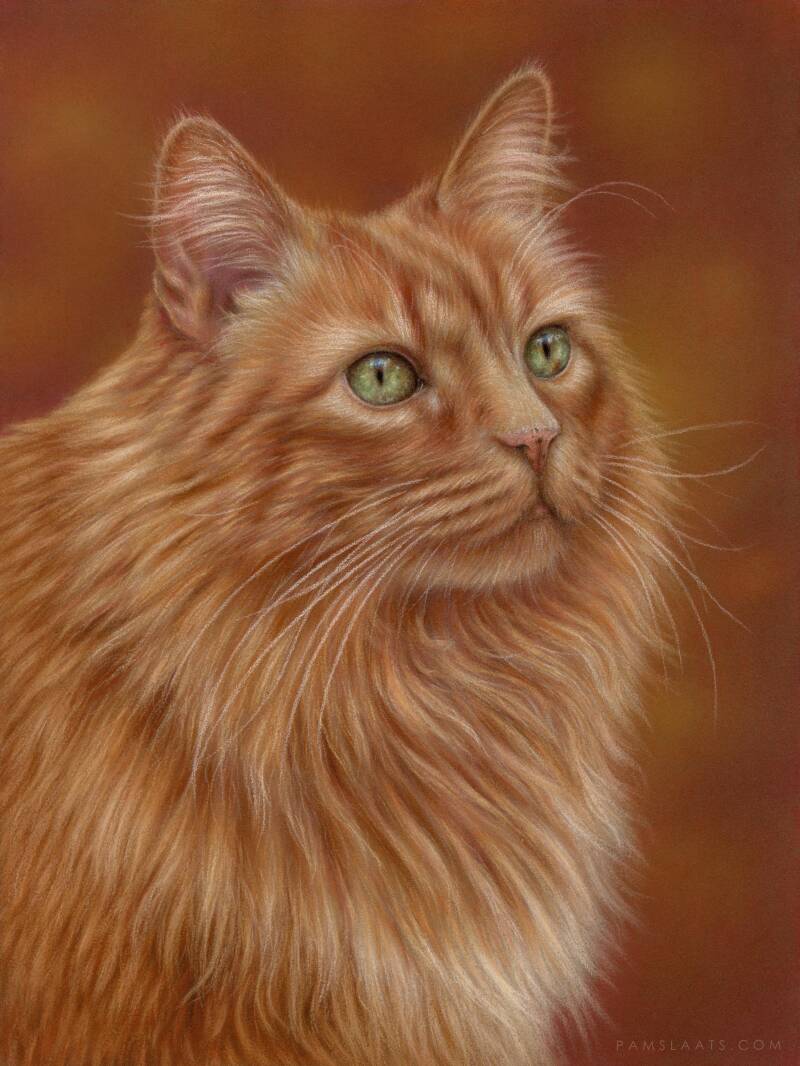 Mojo