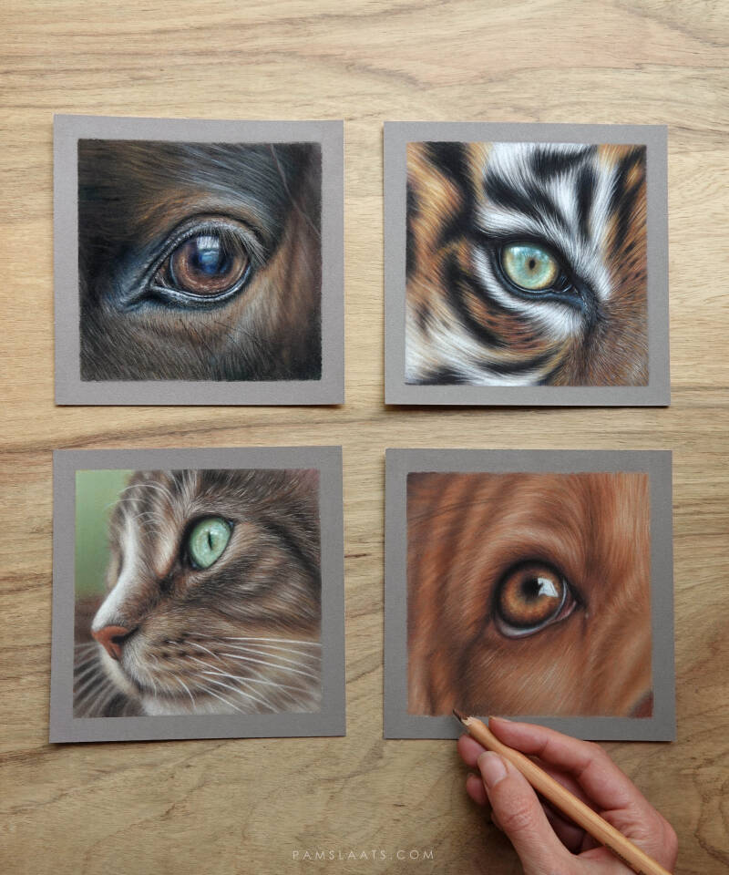 Workshop Ogen & Vacht tekenen - Maandag 25 mei 2026