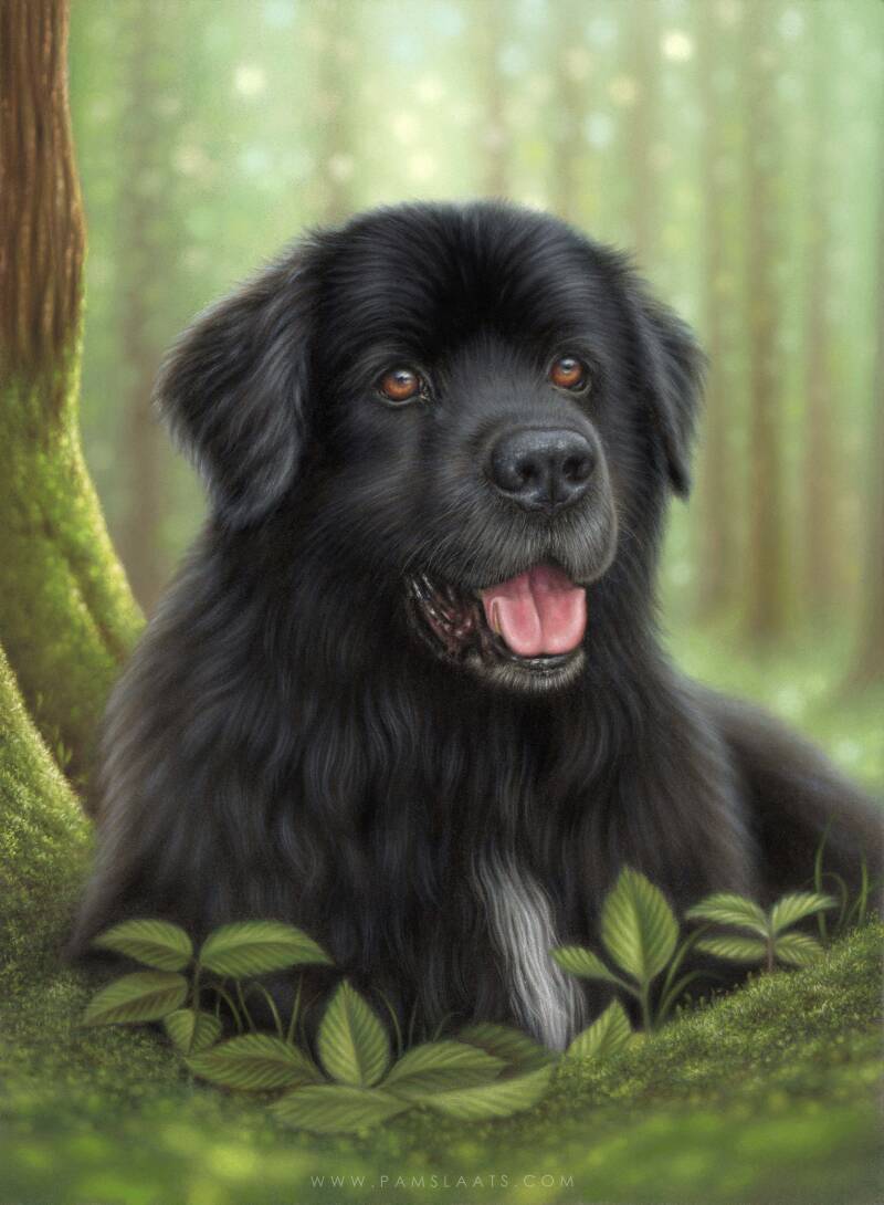 Pastel | Pam Slaats Art