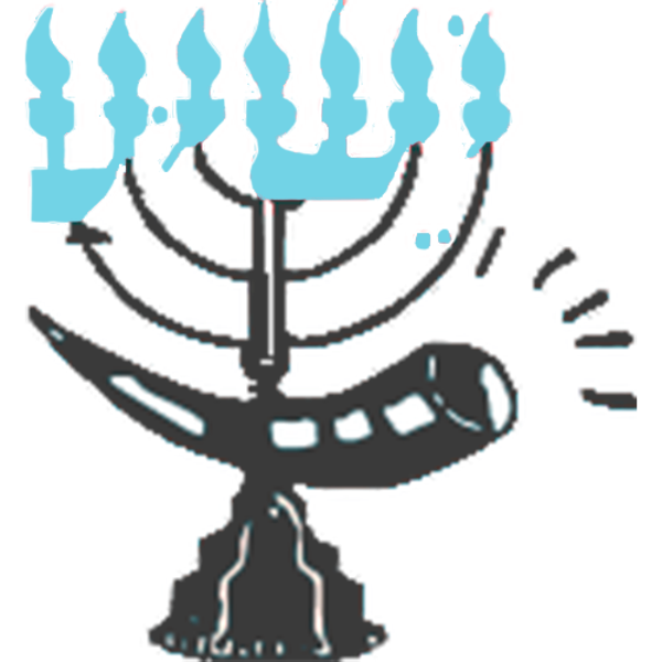 Yeshiva Shuvu FRANCE