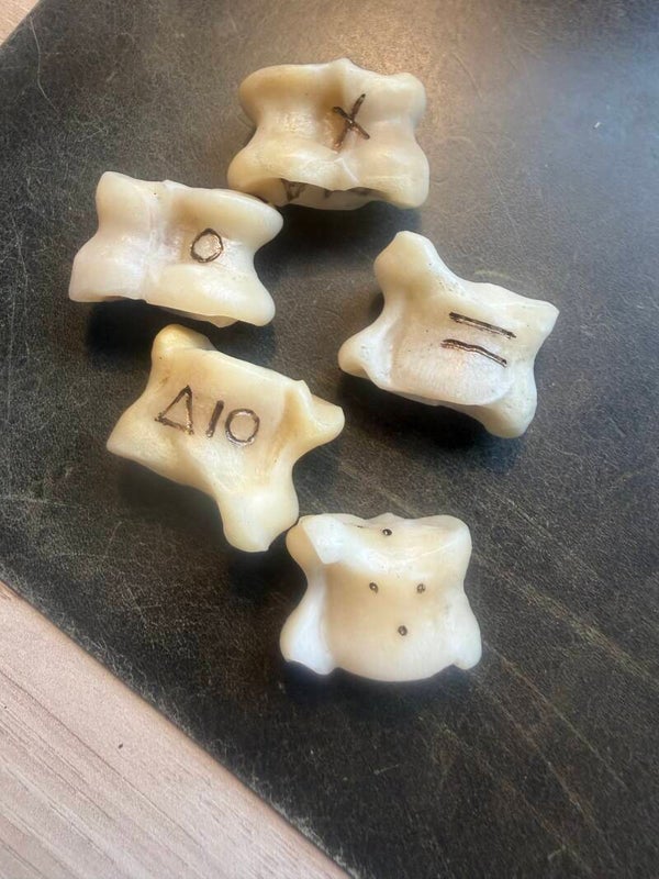 Bone Divination
