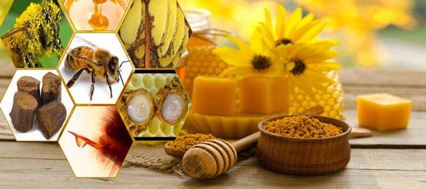 Apitherapy Session