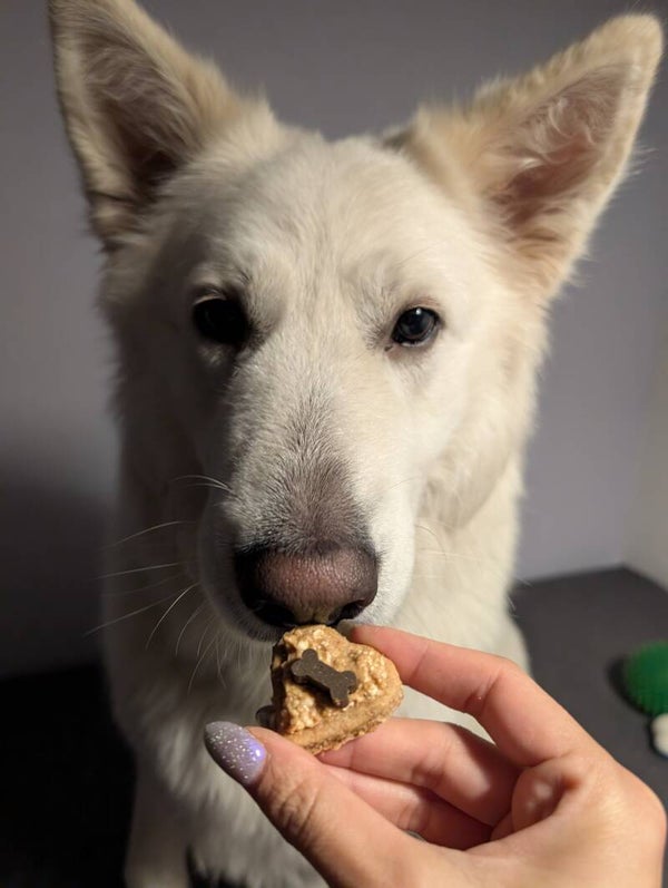 Party mix 250 gram (havermout, pindakaas en tonijn cookies)