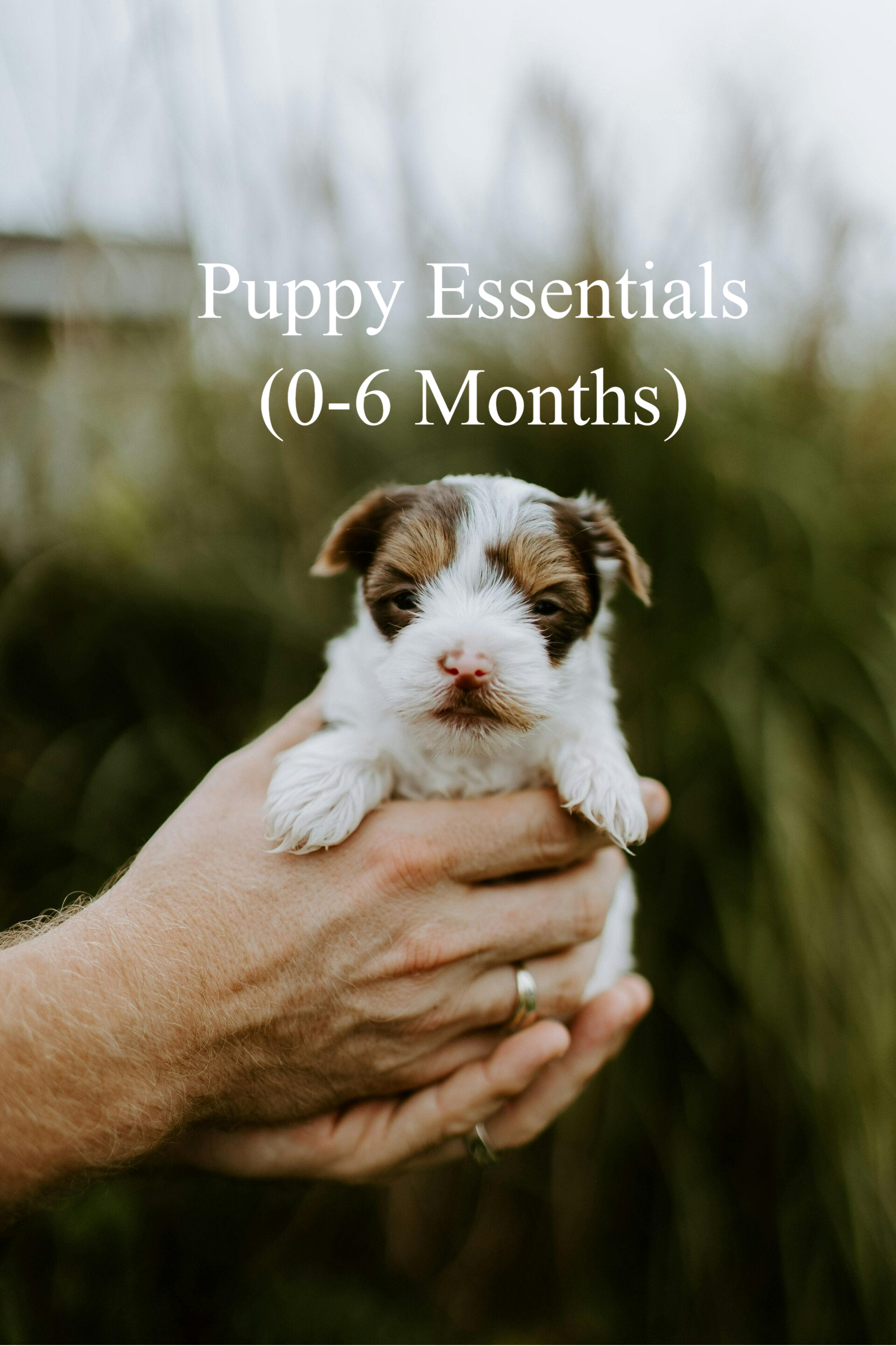 Puppy Essentials (0-6 Months)