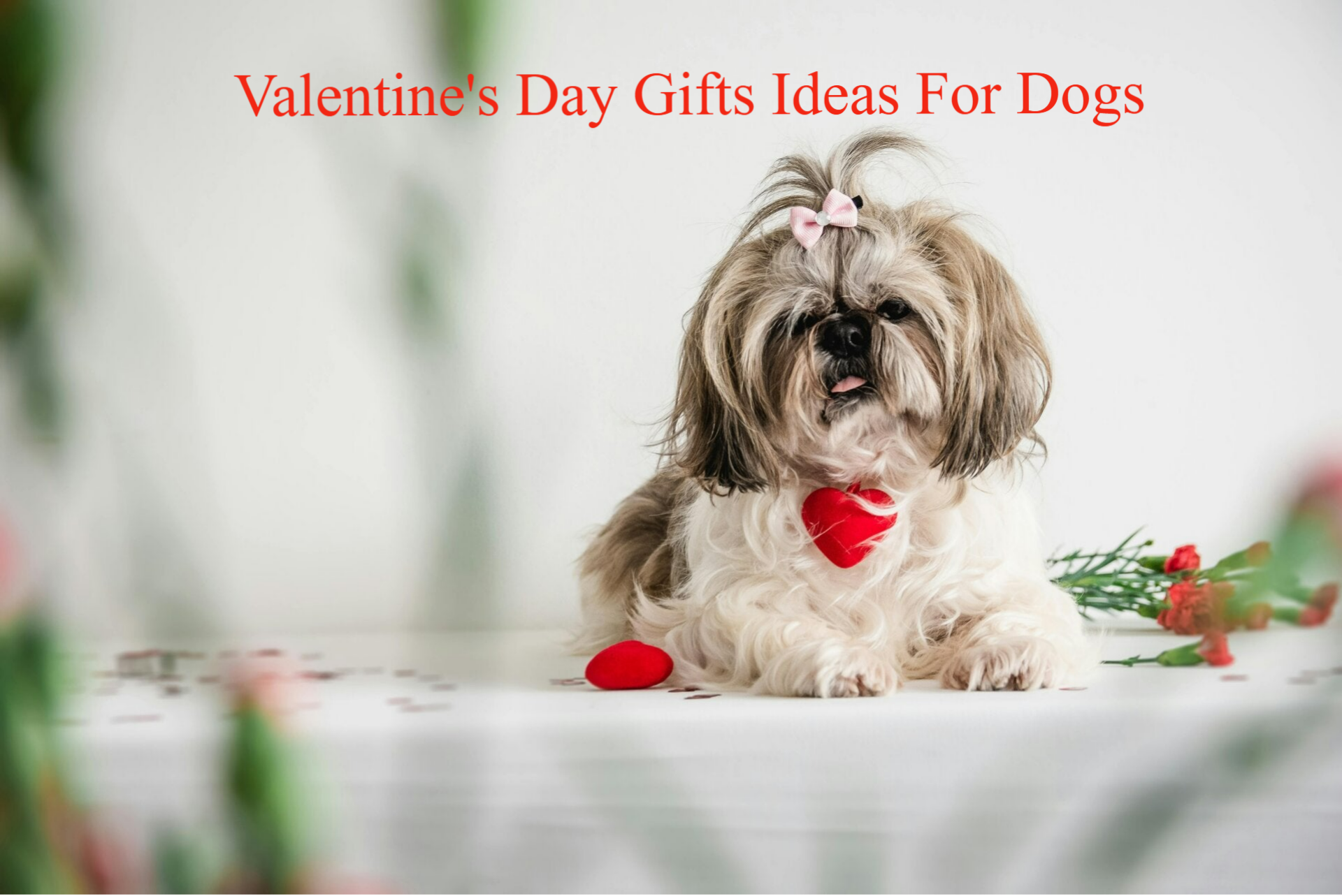 Valentine's Gifts Ideas For Dogs