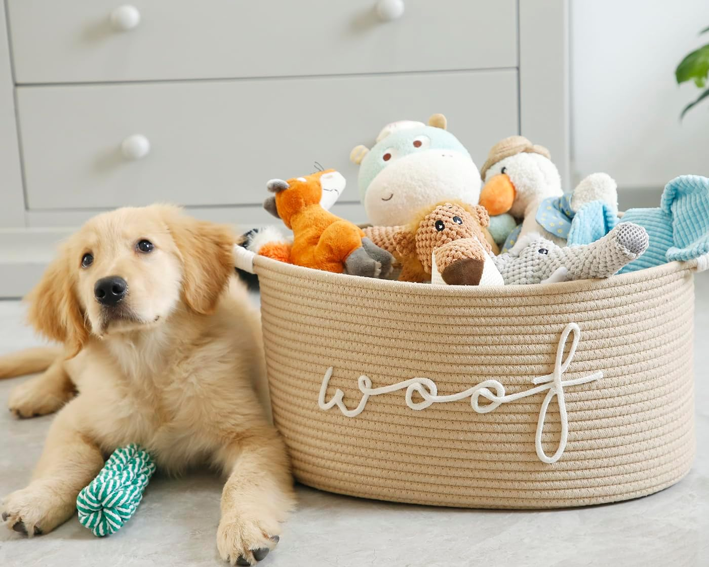 Dog Toy Storage Bins