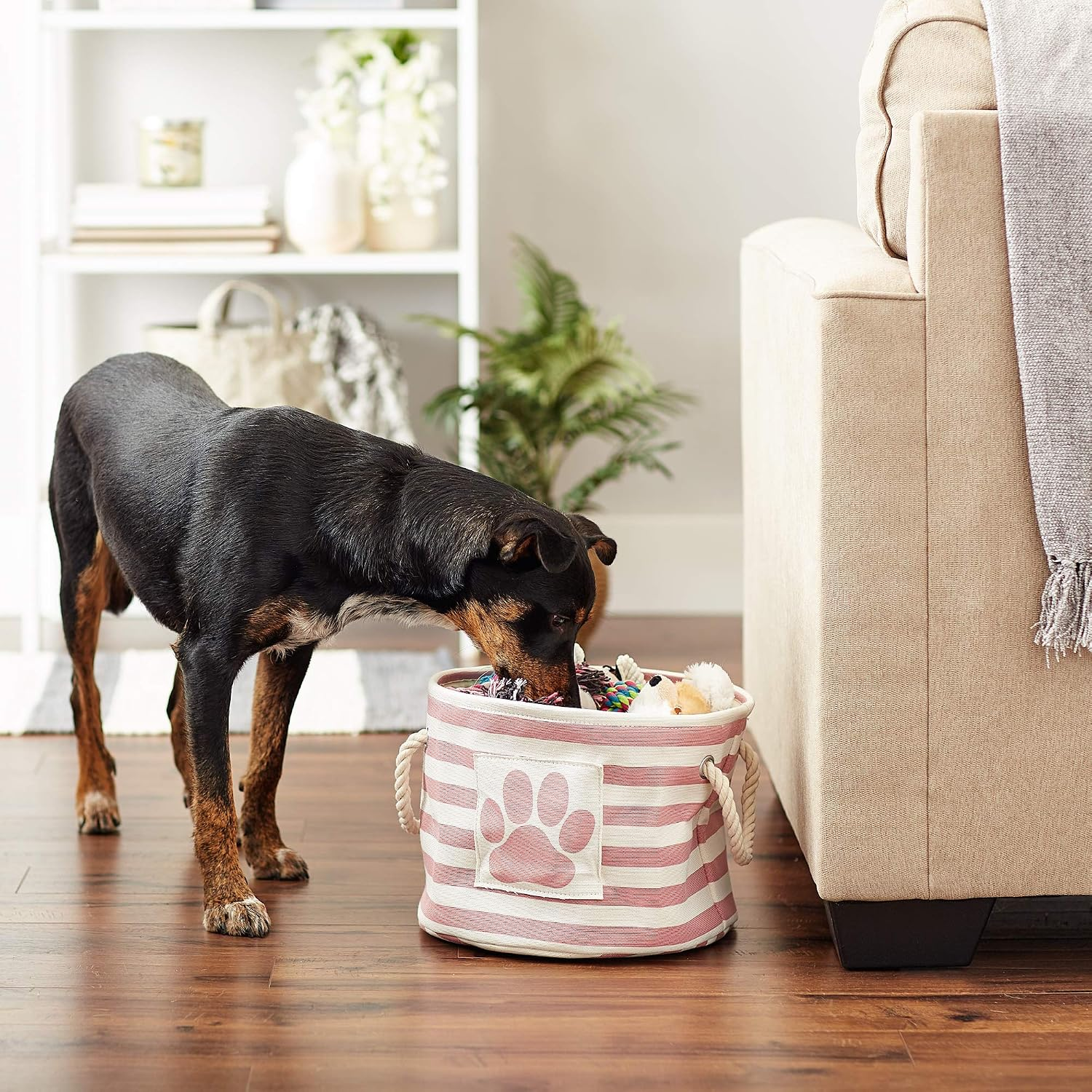 Dog Toy Basket With Lid