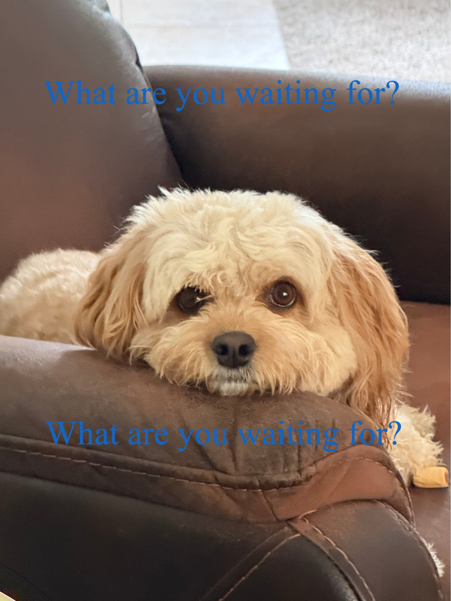What are you waiting for?